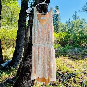 Dress the Population Sequin Dress